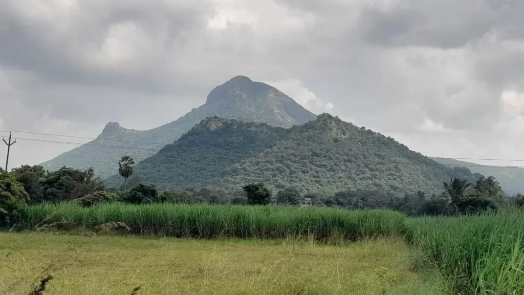 resort in tiruvannamalai