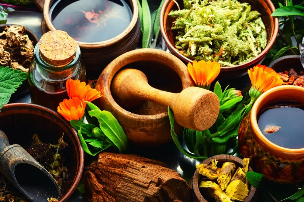 ayurveda treatment