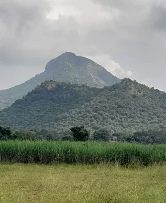 resort in tiruvannamalai